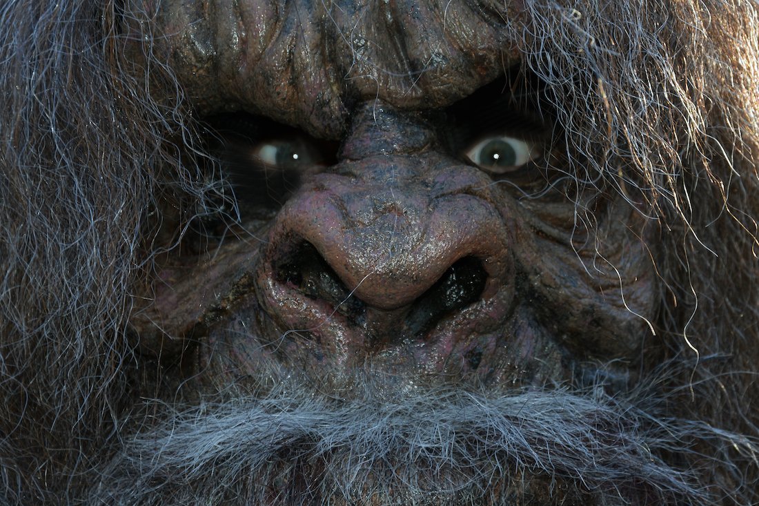 Fred Olen May: Boggy Creek - The Bigfoot Series — Neon Splatter